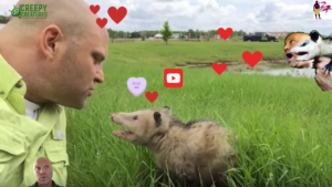 How To Kiss An Opossum