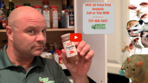 Palm Harbor Pantry Pests