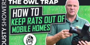 Get rid of rats in mobile homes in Clearwater, FL