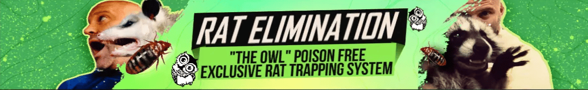 Palm Harbor Poison Free Rat Elimination