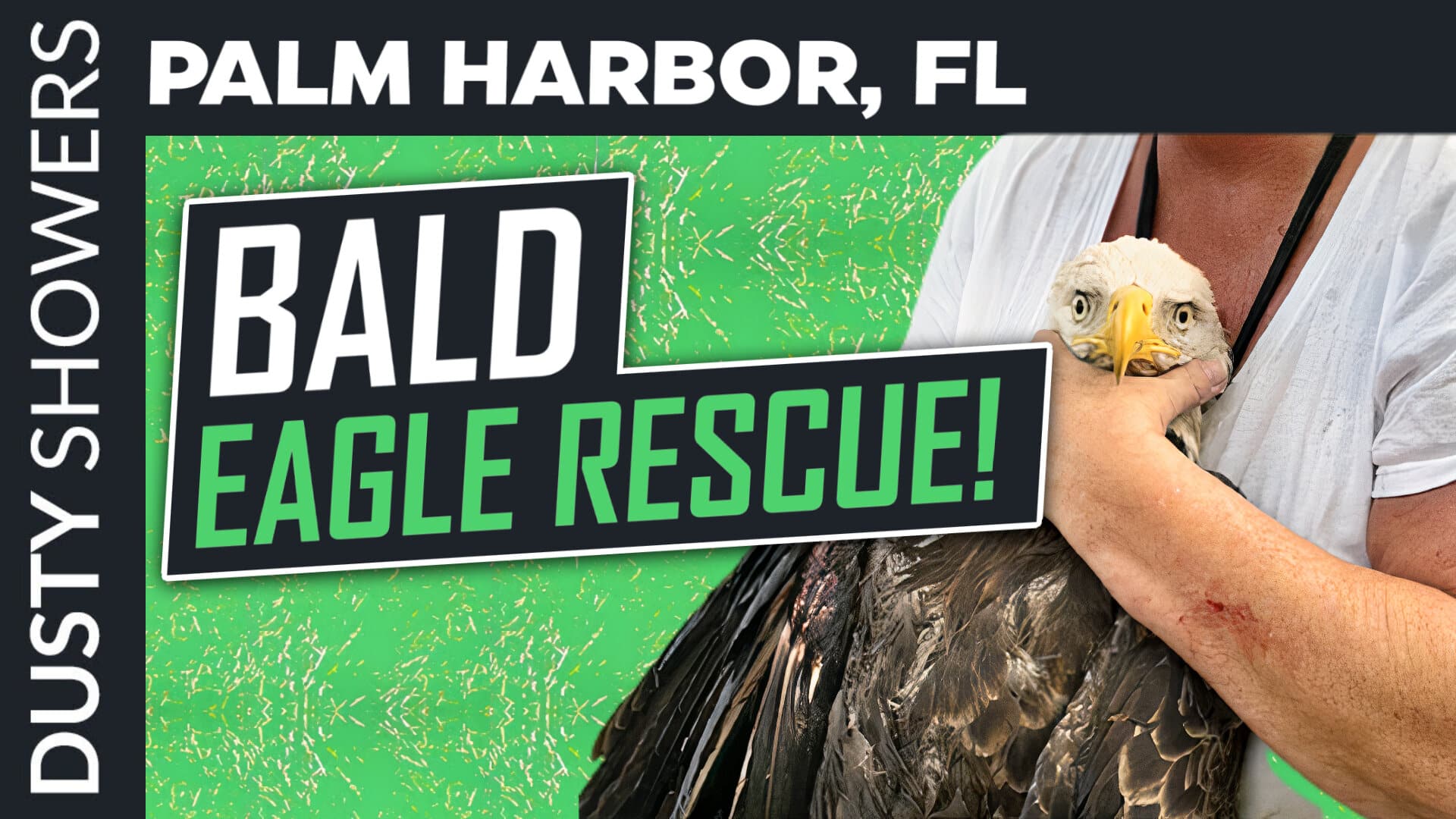 Palm Harbor Bald Eagle Rescue
